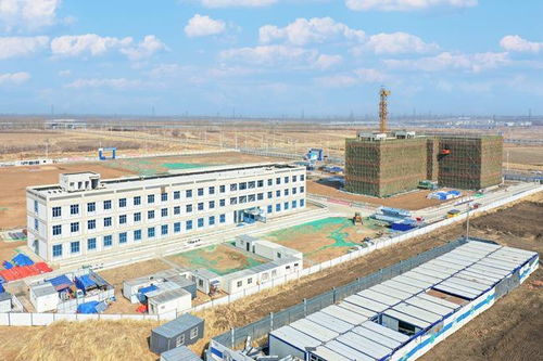 與春同行,共赴新程 2025年長春市一季度項目開工暨北湖未來科學城項目開工活動側記