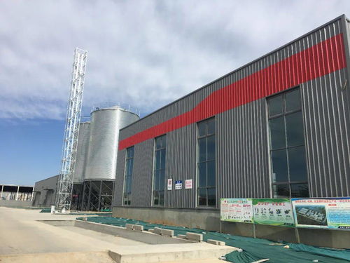 厚生生物科技公司洛寧油脂廠春節(jié)后投產(chǎn)