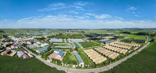 長春市現(xiàn)代菌物產業(yè)科技成果轉化示范基地揭牌暨首屆中國 長春 靈芝孢子粉采收節(jié)啟動儀式在凈月高新區(qū)舉行